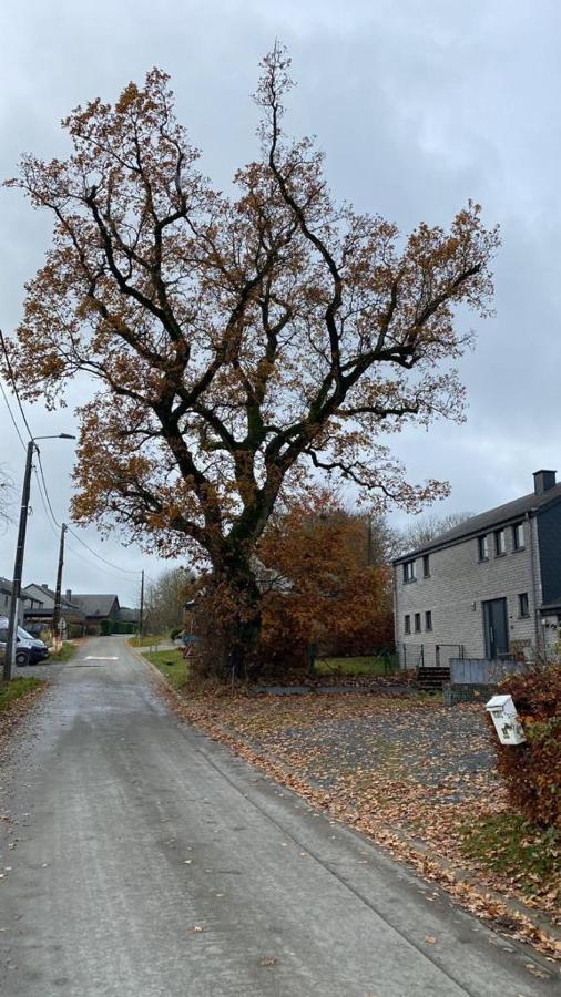 Le Gite Du Vieux Chene Bertogne Exterior photo